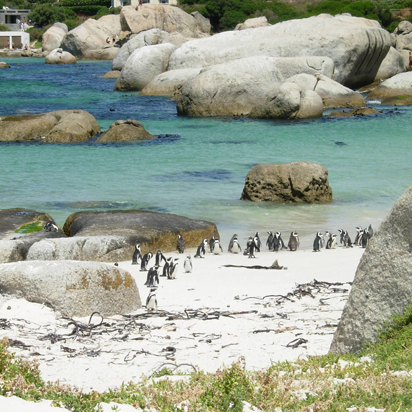 Cape Town retreat